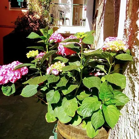 Casa La Quiete